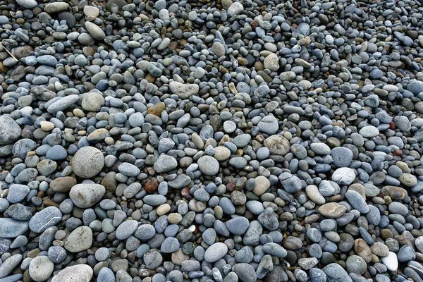 Taşlı Bir Sahilde Farklı Renkte Boyutlarda Çakıl Taşları — Stok fotoğraf