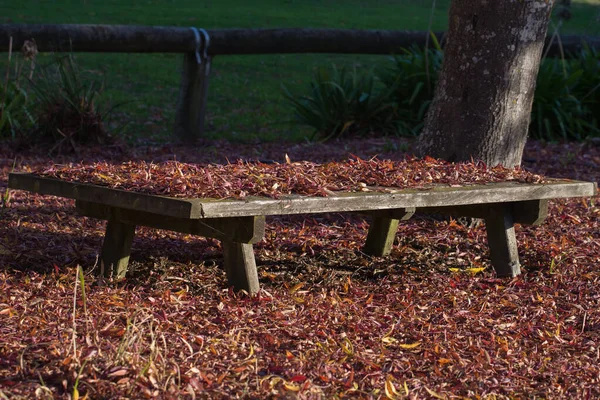 Podzim Lavička Parku Podzimním Listím — Stock fotografie