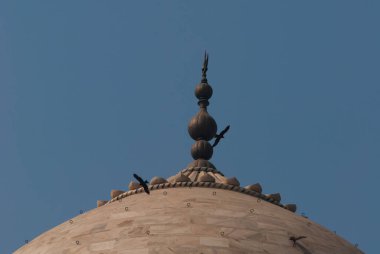 Hindistan 'ın ünlü Taj Mahal' inin kubbesi.