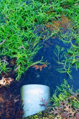 Bir göletin taşma sistemi, beyaz bir boru fazla suyu alıp götürüyor.