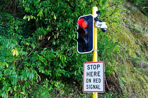 Traffic signals on red against a bushy background