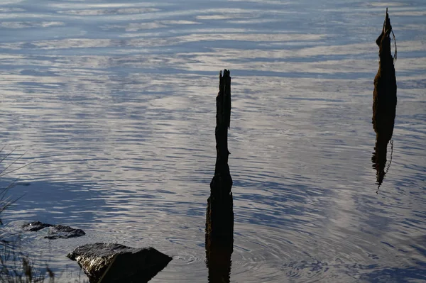 Akşam lambası nehir kıyısında, yaşlı bir sütun sudan dışarı sarkmış.
