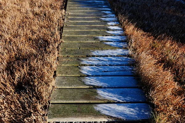 Tající Led Promenádě Časně Ráno — Stock fotografie