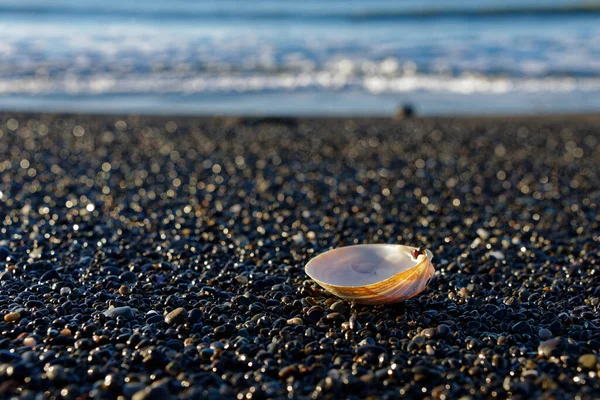Sunlit Hermosa Concha Mar Playa Piedra Con Olas Fondo —  Fotos de Stock