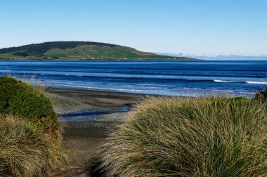 Te Waewae Körfezi, Southland, Yeni Zelanda 'ya bakıyorum.