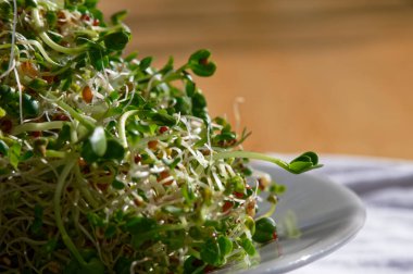 Büyük bir tabak fasulye ve tohum filizi yenmeyi bekliyor.