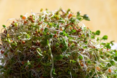 Salata ve yemek için tohum ekmek.