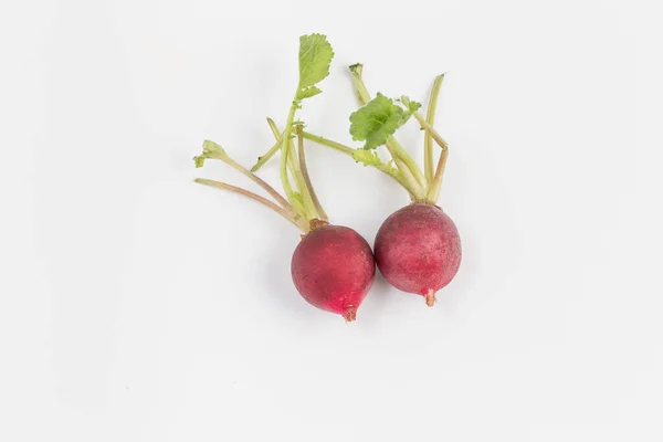 Nehmen Sie Frische Und Köstliche Radieschen Aus Nächster Nähe — Stockfoto