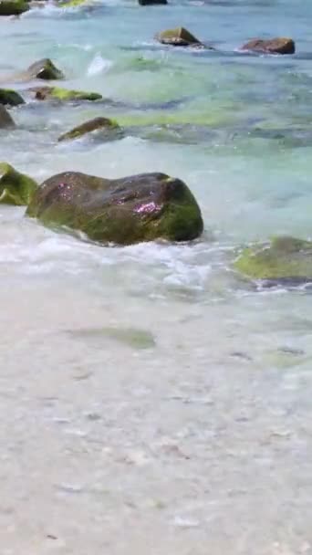 清澈的海水和岸上的岩石 — 图库视频影像
