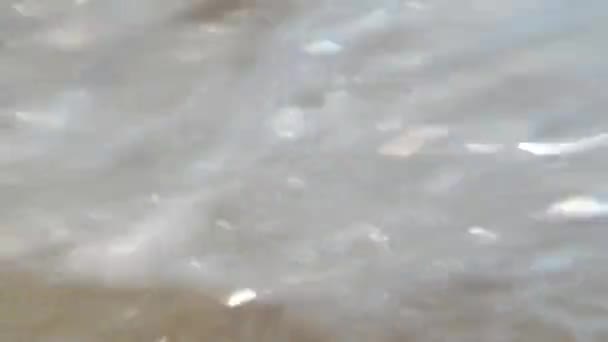 Les Vagues Sont Gonflées Sur Plage — Video