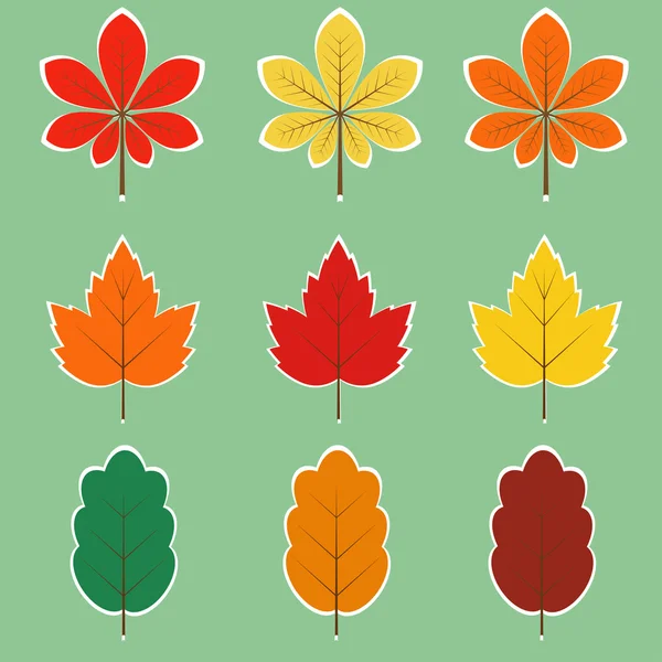 Hojas de otoño — Vector de stock