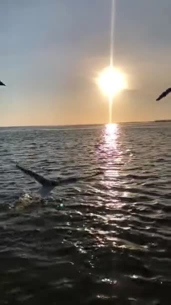 Plaża Słońce Morze Ocean Zachód Słońca — Wideo stockowe