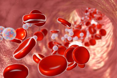 İnsan kanı Zika virüsleri