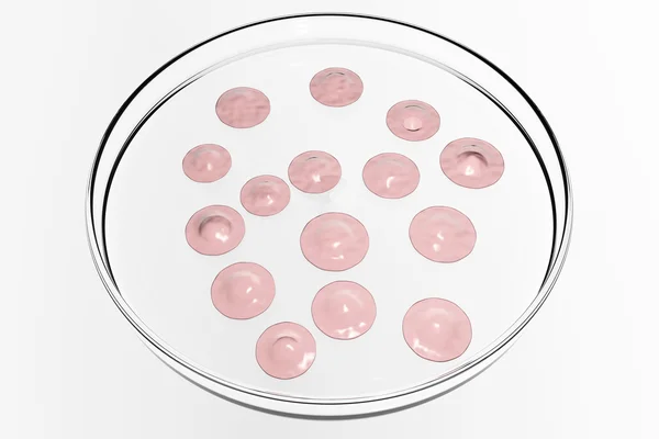 Őssejtek laboratóriumi edénybe — Stock Fotó