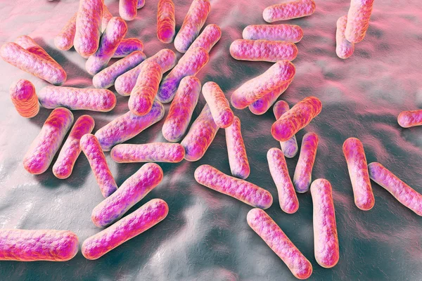 Bakterie, które powodują trądzik — Zdjęcie stockowe