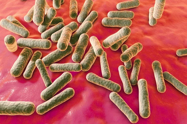 Bacterias que causan acné — Foto de Stock