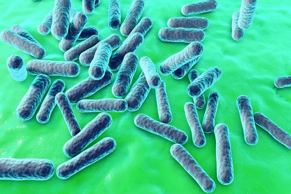 Bacterias que causan acné — Foto de Stock