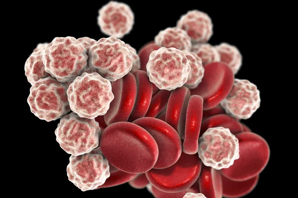 Células sanguíneas, ilustración 3D — Foto de Stock