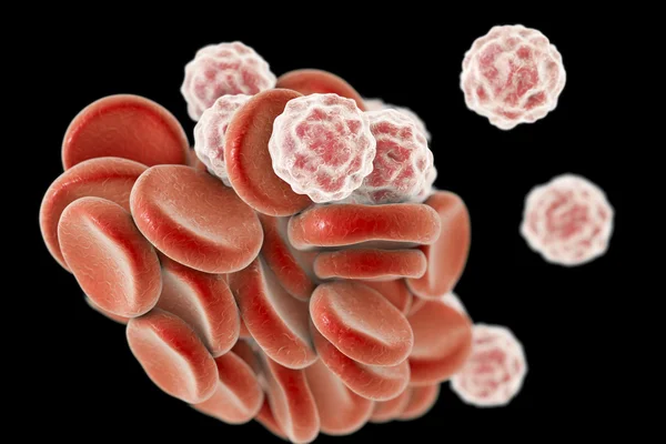 Células sanguíneas, ilustración 3D — Foto de Stock