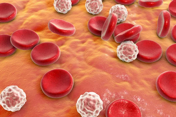 Vérsejtek, 3D-s illusztráció — Stock Fotó