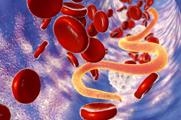 Parasite in human blood — Stock Photo, Image