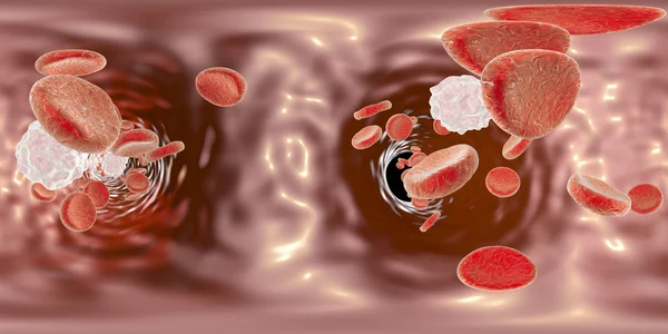 Panorama vista dentro do vaso sanguíneo — Fotografia de Stock