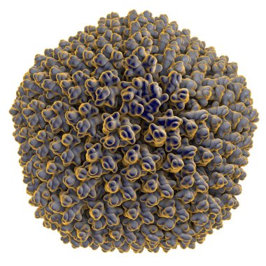 Adenovirus, solunum yolu enfeksiyonları neden bir virüs