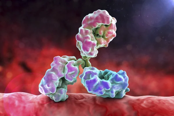 Antibody attacking bacterium — Stock Photo, Image