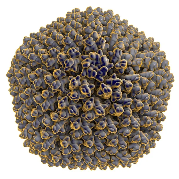 Adenovirus, virus yang menyebabkan infeksi pernapasan — Stok Foto
