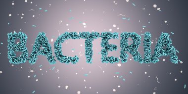 Bakteri hücrelerinden yapılmış yazıt bakterileri