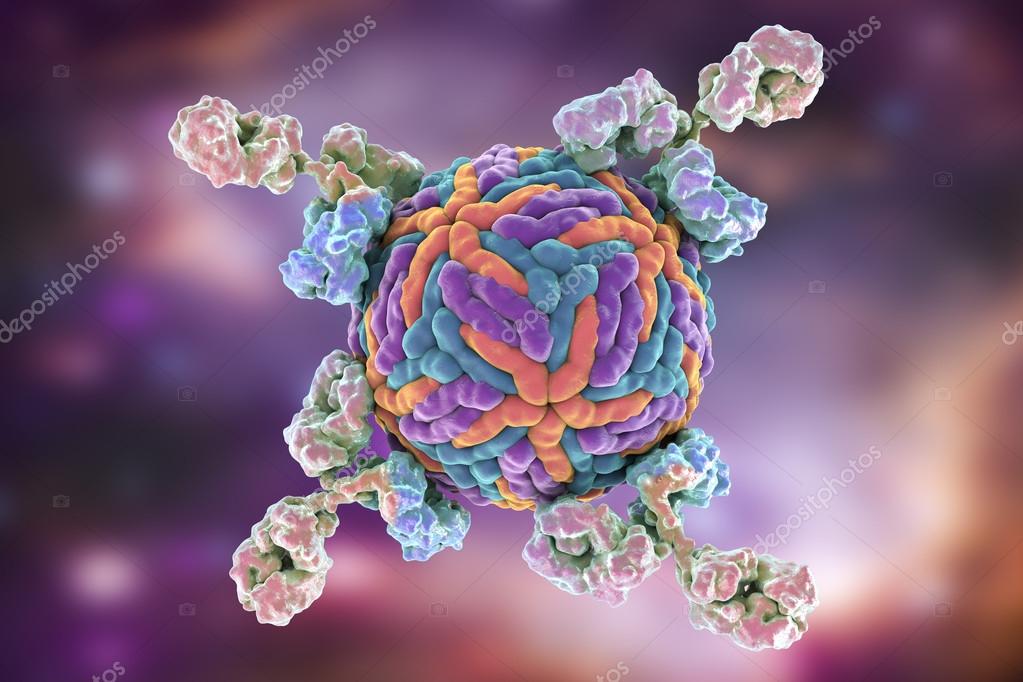 Antibodies attacking Zika virus Stock Photo by ©katerynakon 122888758