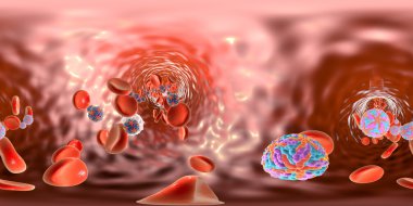 Zika virus in blood, spherical panorama view
