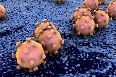 İnsan hücreleri bulaşmasını virüsler