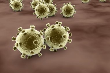 İnsan hücreleri bulaşmasını virüsler
