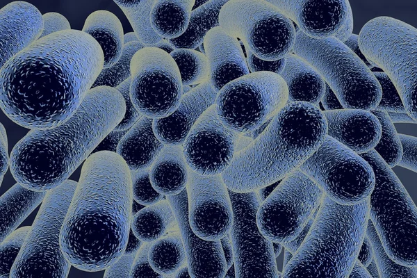 Rod vormige bacteriën — Stockfoto