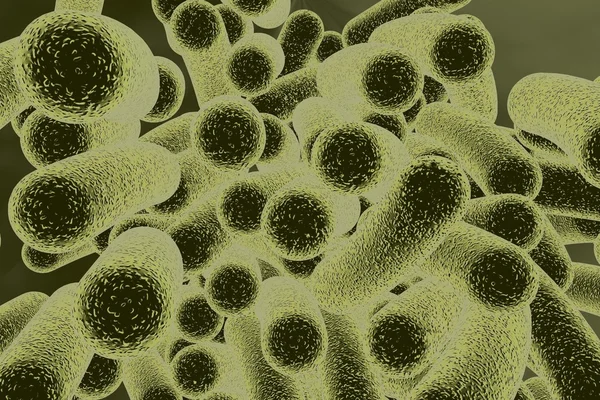 막대 모양의 박테리아 — 스톡 사진
