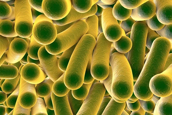 Bacterias en forma de barra — Foto de Stock