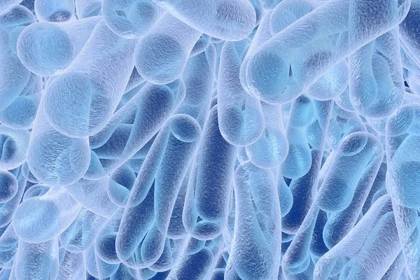 Βακτήρια ράβδο σχήματος — Φωτογραφία Αρχείου