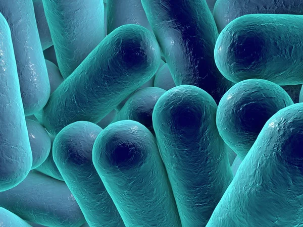 Rod shaped bacteria — Stock Photo, Image