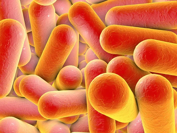 Rod shaped bacteria — Stock Photo, Image