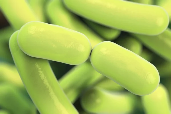 Bacterias en forma de barra —  Fotos de Stock