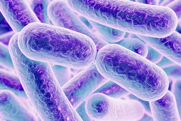 Rod shaped bacteria — Stock Photo, Image