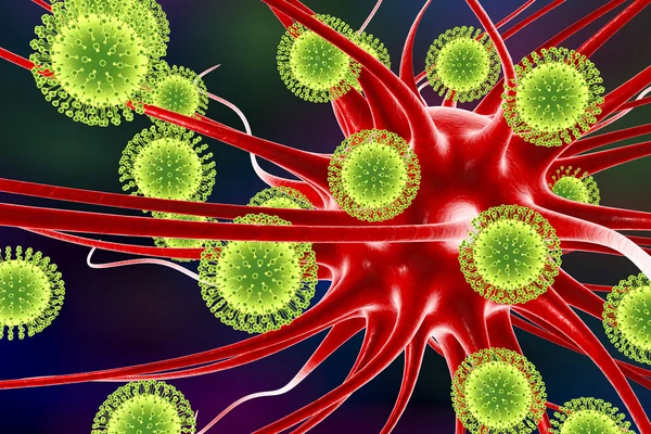 Zika viruses infecting brain cells — Stock Photo, Image