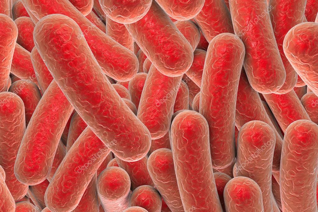 rod shaped bacteria stock photo by c katerynakon 123067456