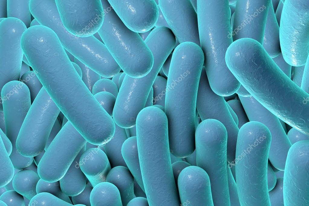 Rod shaped bacteria — Stock Photo © katerynakon 123067640