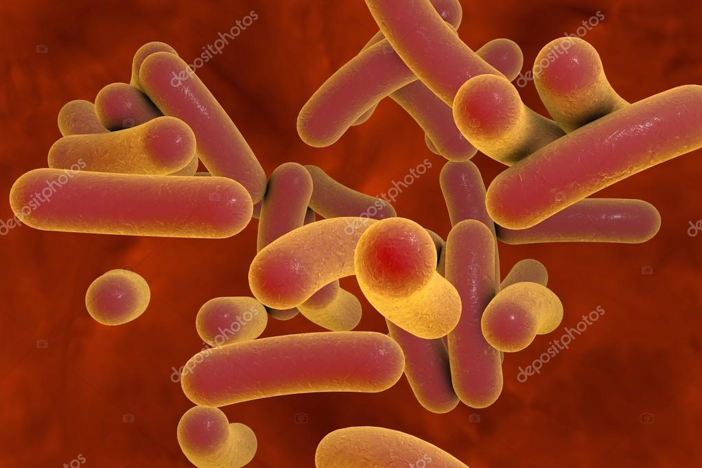 Rod shaped bacteria Stock Photo by ©katerynakon 123069250