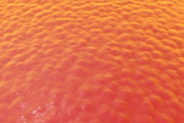 İnsan hücreleri tabakası