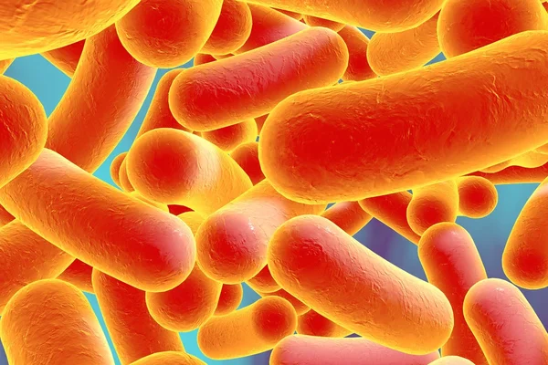 Бактерии в форме стержня — стоковое фото
