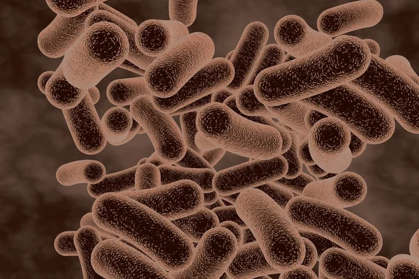 Rod shaped bacteria — Stock Photo, Image