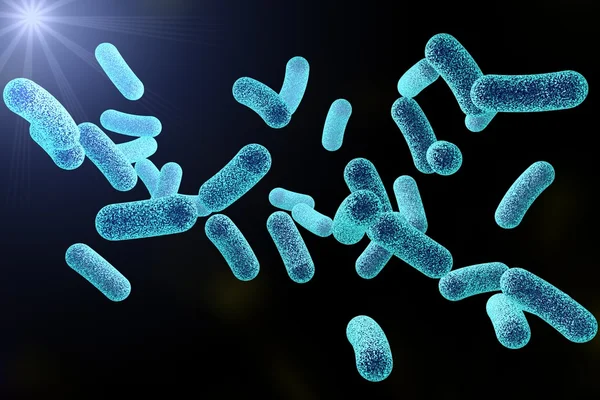 Bacterias en forma de barra — Foto de Stock